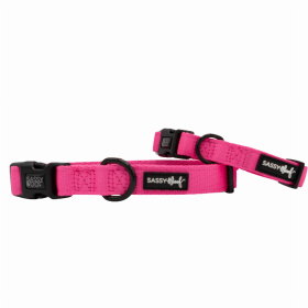 Sassy Woof Dog Collars (Color: Neon Pink, size: large)