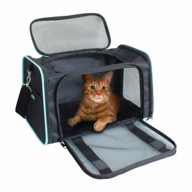 GOOPAWS Soft-Sided Kennel Pet Carrier for Small Dogs, Cats, Puppy, Airline Approved Cat Carriers Dog Carrier Collapsible, Travel Handbag & Car Seat (Color: Black / Blue, size: 17" x 10" x 11.5")