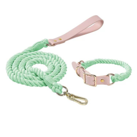 Luxe Royal Leather Rope Leash and Collar Set (Color: Mint Green)
