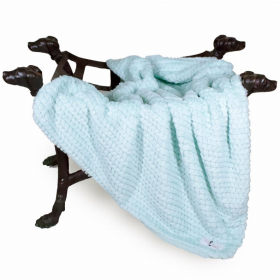 Paris Dog Blanket (Color: Ice, size: small)